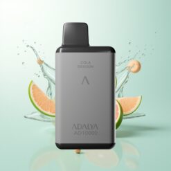 Adalya AD 10000 Puffs Oplaadbaar Space Grijs Blauw IJs