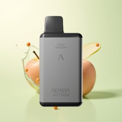 Adalya AD 10000 Puffs Spacegrijs Oplaadbaar USB-C Met Rubberverf Twee Appels