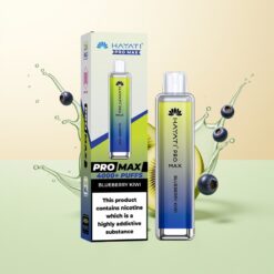 Hayati Pro Max 4000 Puffs Oplaadbare Wegwerp Vape Bosbes Kiwi