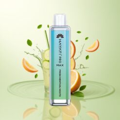 Hayati Pro Max 4000 Puffs Oplaadbare Wegwerp Vape Verfrissende Munt Mojito