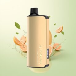 Alibarbar Ingot 9000 Puffs 22ml 2350mah LED Dubbel Appel Wegwerp Vape