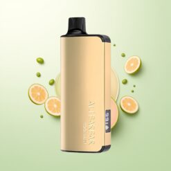 Alibarbar Ingot 9000 Puffs 22ml 2350mah LED Koel Munt