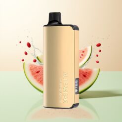 Alibarbar Ingot 9000 Puffs 22ml 2350mah LED Watermeloen IJs