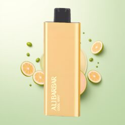 Alibarbar Pandora 7000 Puffs 17ml Koel Munt