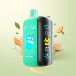 ELF BAR RAYA D3 25000 Puffs Oplaadbaar Dubbel Appel