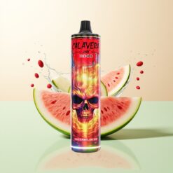JNR Calavera 11000 Puffs Type-C 850mAh 21ml 1.0ohm Watermeloen IJs