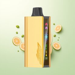 JNR Cruiser 12000 Puffs No-Charge Dual Mesh Coil Animation Scherm Cool Munt Wegwerp Vape