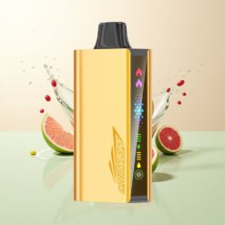 JNR Cruiser 12000 Puffs No-Charge Wegwerp Vape Druiven IJs