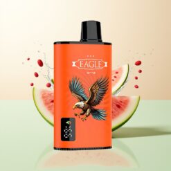 JNR EAGLE Smart 23000 Puffs Digitale Scherm 1.0ohm Mesh Coil Aanpasbare Luchtstroom 750mAh Watermeloen IJs