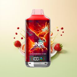 JNR Falcon X 18000 Puffs 750mAh 24ml Dual Mesh Coil Digital Display Type-C Aardbei Kiwi