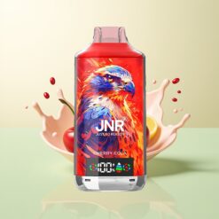 JNR Falcon X 18000 Puffs Dubbele Mesh Coil Type-C Oplaad Kers Smaak