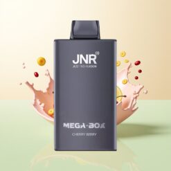 JNR Mega Box 25000 Puffs Dual Mesh Kersen Bessen