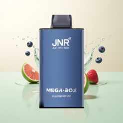 JNR Mega Box 25000 Puffs Dual Mesh Type-C Blauwe Bes IJs