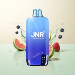 JNR Rainbow 10500 Puffs 18ml 600mAh Mesh Blauwe Bes IJs