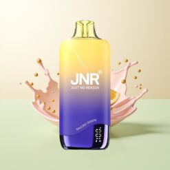 JNR Rainbow 10500 Puffs 18ml Mesh USB-C Sakura Druif