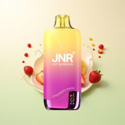 JNR Rainbow 10500 Puffs Mesh USB-C Aardbei Mango