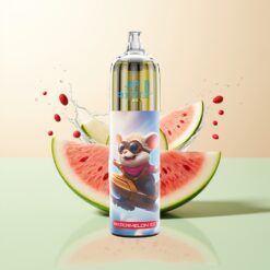 JNR Rocket-X 12400 Puffs Ajusteerbare Luchtstroom RGB 1.2ohm Mesh 850mAh 25ml Type-C Watermeloen IJs