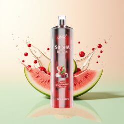 JNR Shisha Hookah 12000 Puffs 24ml Type-C Kers Watermeloen Ijs