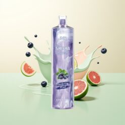 JNR Shisha Hookah 12000 Puffs 750mAh 24ml Type-C Blauwe Bes Munt