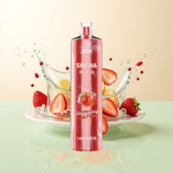 JNR Shisha Hookah 12000 Puffs 750mAh Type-C Aardbei IJs