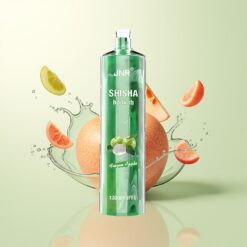 JNR Shisha Hookah 12000 Puffs 750mAh Type-C Bevroren Appel