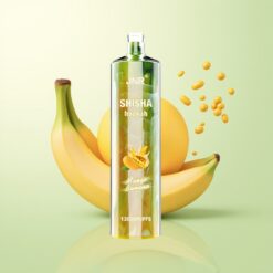 JNR Shisha Hookah 12000 Puffs 750mAh Type-C Mango Banaan