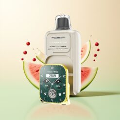 JNR VapeWatch 30000 Puffs Dual Mesh Coil Type-C Watermeloen IJs